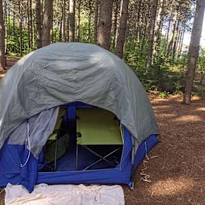 Knotty Pines