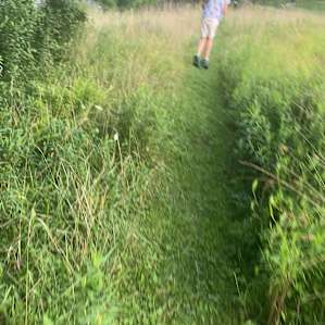 Barakah Farm Piney Pond