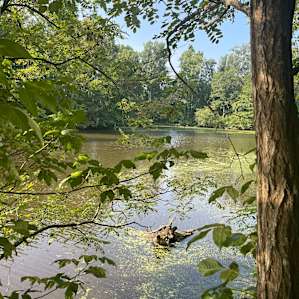 Camping on Two Crane Lake