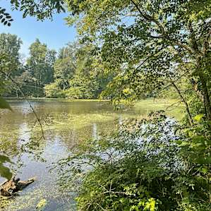 Camping on Two Crane Lake