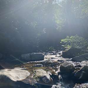 Waterfall & Brook Camping (3 sites)