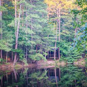 Pondside Tiny Cabin Retreat