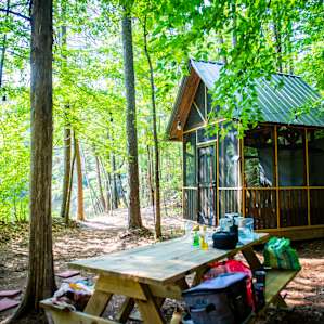 Pondside Tiny Cabin Retreat