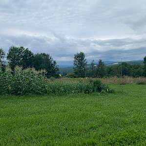 Hidden Meadow Tent Site