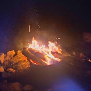Private Wooded Campsite