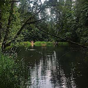 Cozy Yurt in the Forest