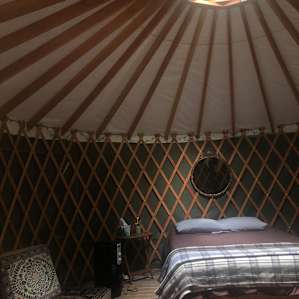 Cozy Yurt in the Forest