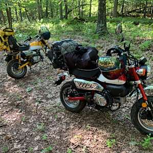 Our Honda Monkey bikes & gear