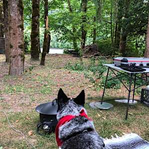 View from our camp set up on the grass