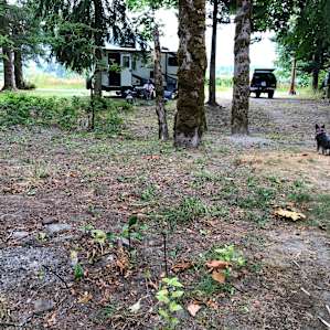 view from the fire pit facing the road. On the other side of the road is a pasture and hills.
