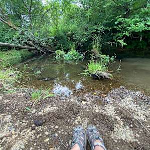 Hidden waterfall and creek