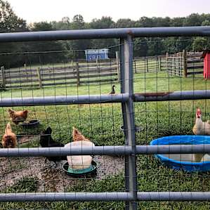 Cross Creek Farm- RV hookups