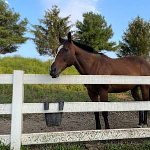 RV Parking on Racehorse Farm