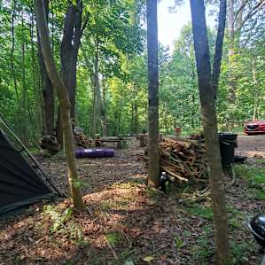View of the campsite from a camping spot in the shade.