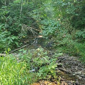 The Old Crusher Pond