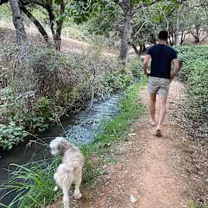 Animal Lovers Paradise