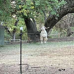 Animal Lovers Paradise