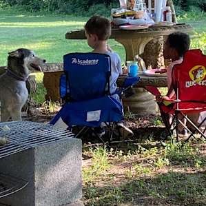 Well-behaved dogs!
