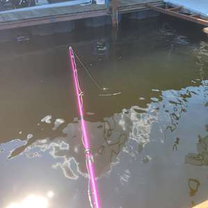 Fishing life