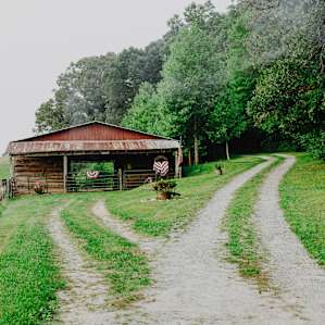 The welcoming view when you first approach Michele's campsites