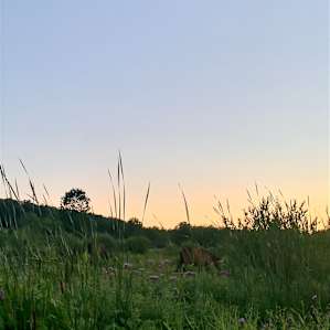 Sunny Knolls Tenting and Camping