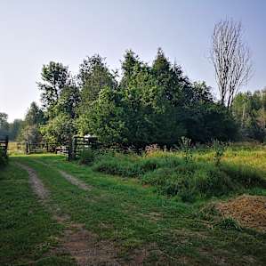 156 Historic Acres on the Tay River