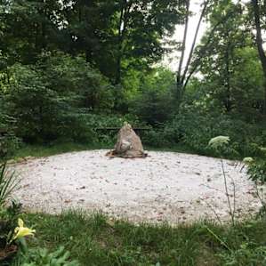 zen garden