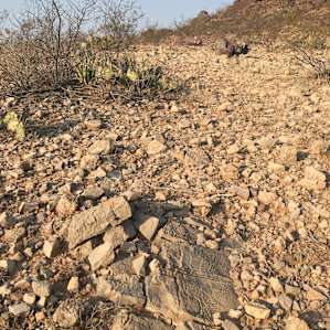 Apache Park and Trail