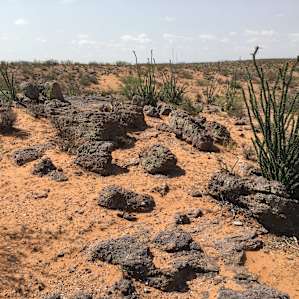 Apache Park and Trail