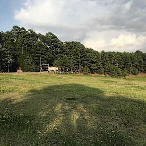 Old Covered Wagon Camp