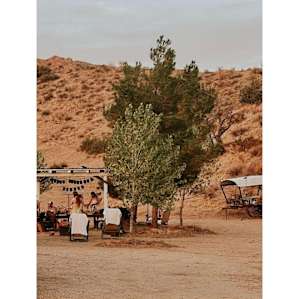 Wagon Camp site