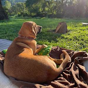 West Fork Driftless Campground