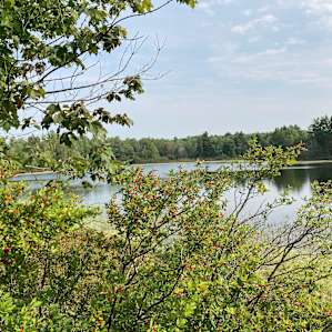 Keweenaw Homestead Camping