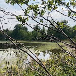 Keweenaw Homestead Camping