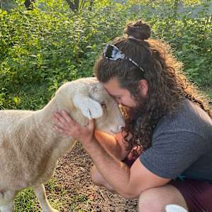 Sleep With Sheep! Creekside Camping