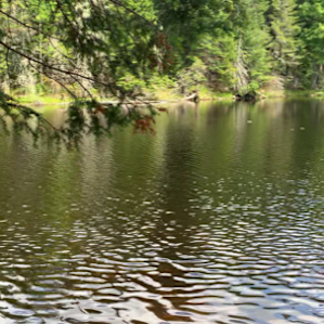 Blueberry Lake