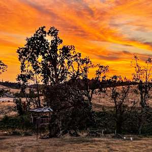 Sunset from the hill overlooking the treehouse