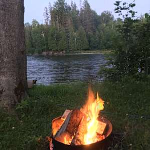 Among the Pines Along the River