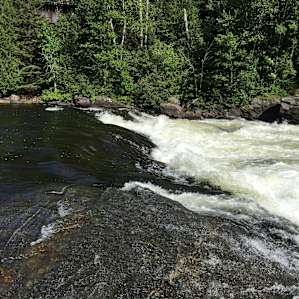 Among the Pines Along the River