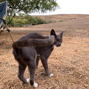 Our wonderful camp host