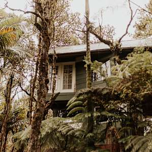 brent's treehouse