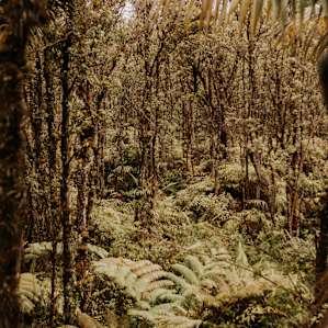 view of the land from the grows