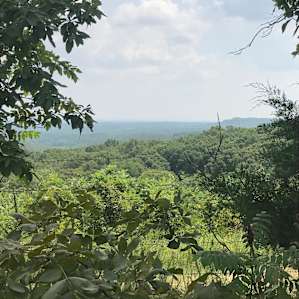 View from cabin