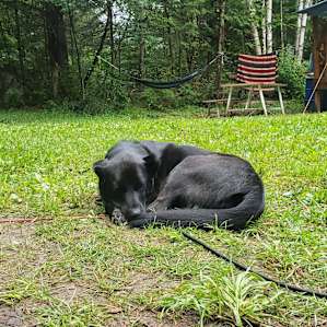 Manny had lots of naps