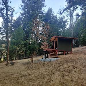 Unique Farm Stay in the Woods