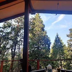 Unique Farm Stay in the Woods