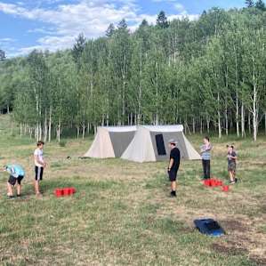 Aspen grove in background of camp
