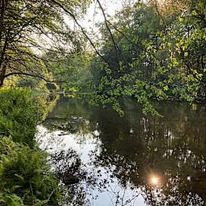 Mountain river island campsite 1