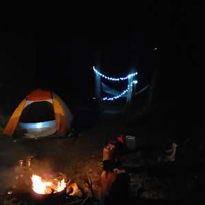 Forest camping