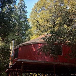 The Yurt